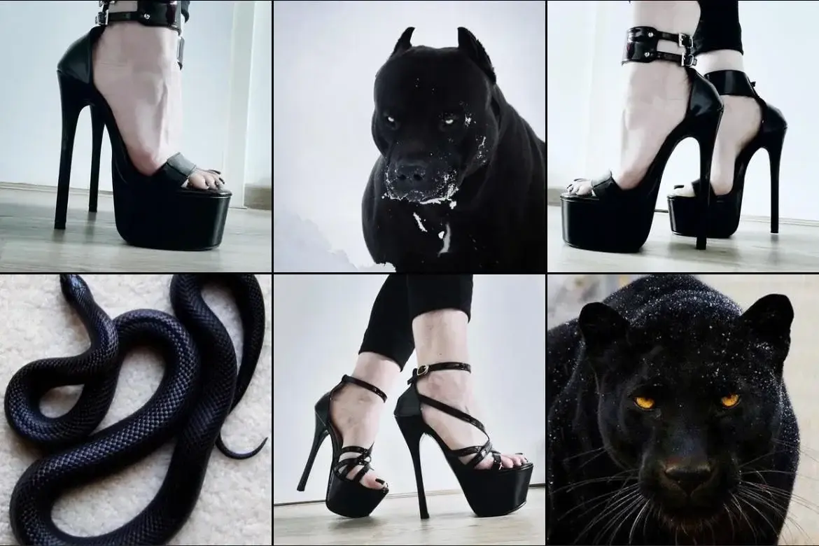 Photo de couverture de Black-onyx