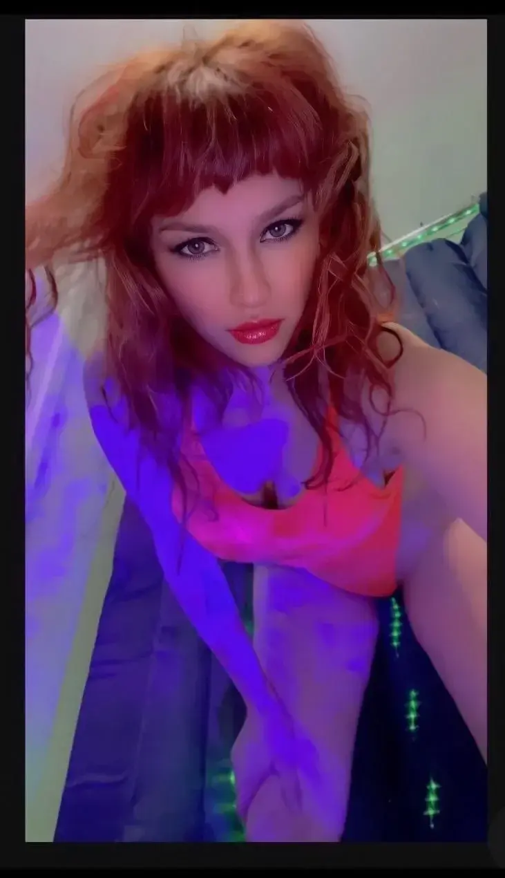 😽