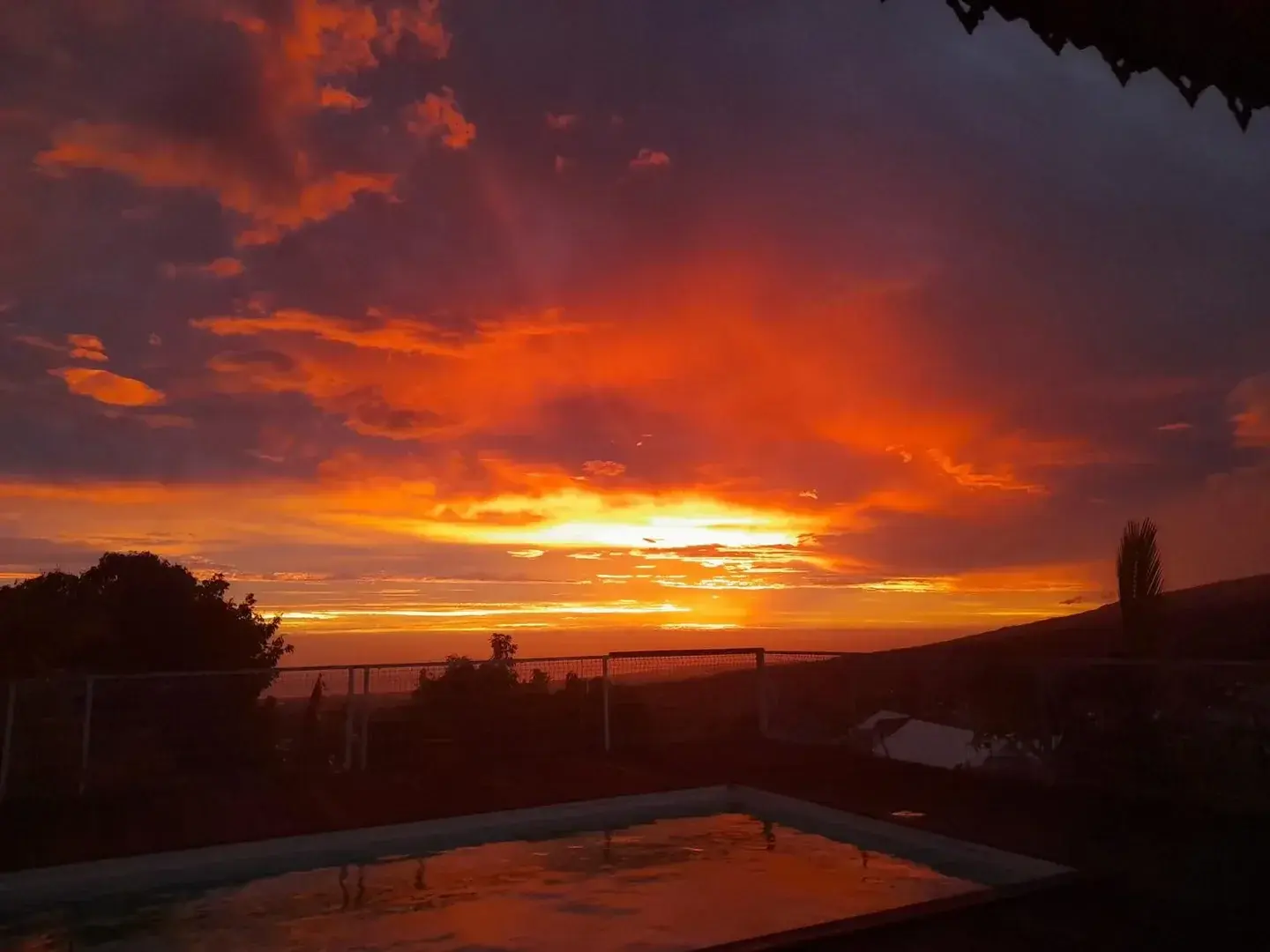 Photo de couverture de Salamesh