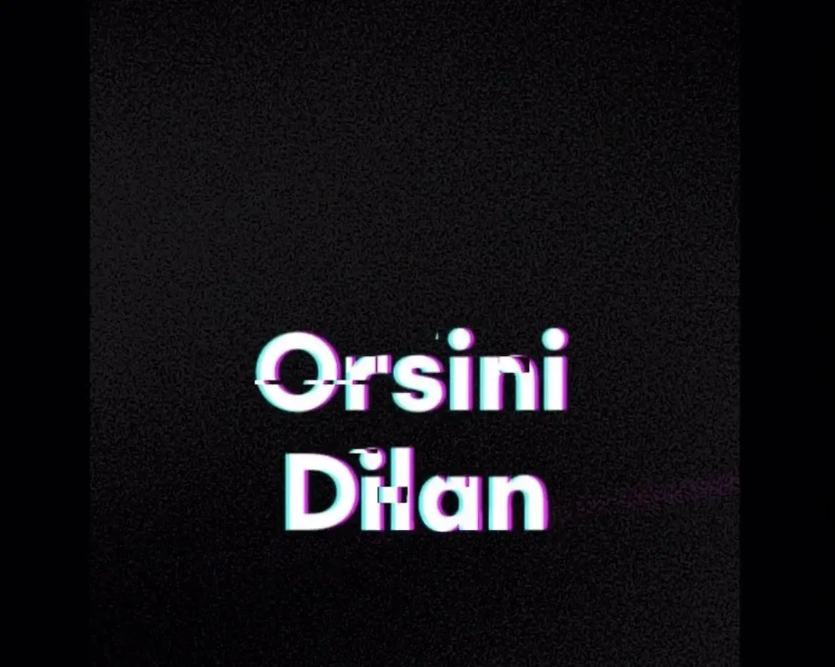 Photo de couverture de Dilanorsini