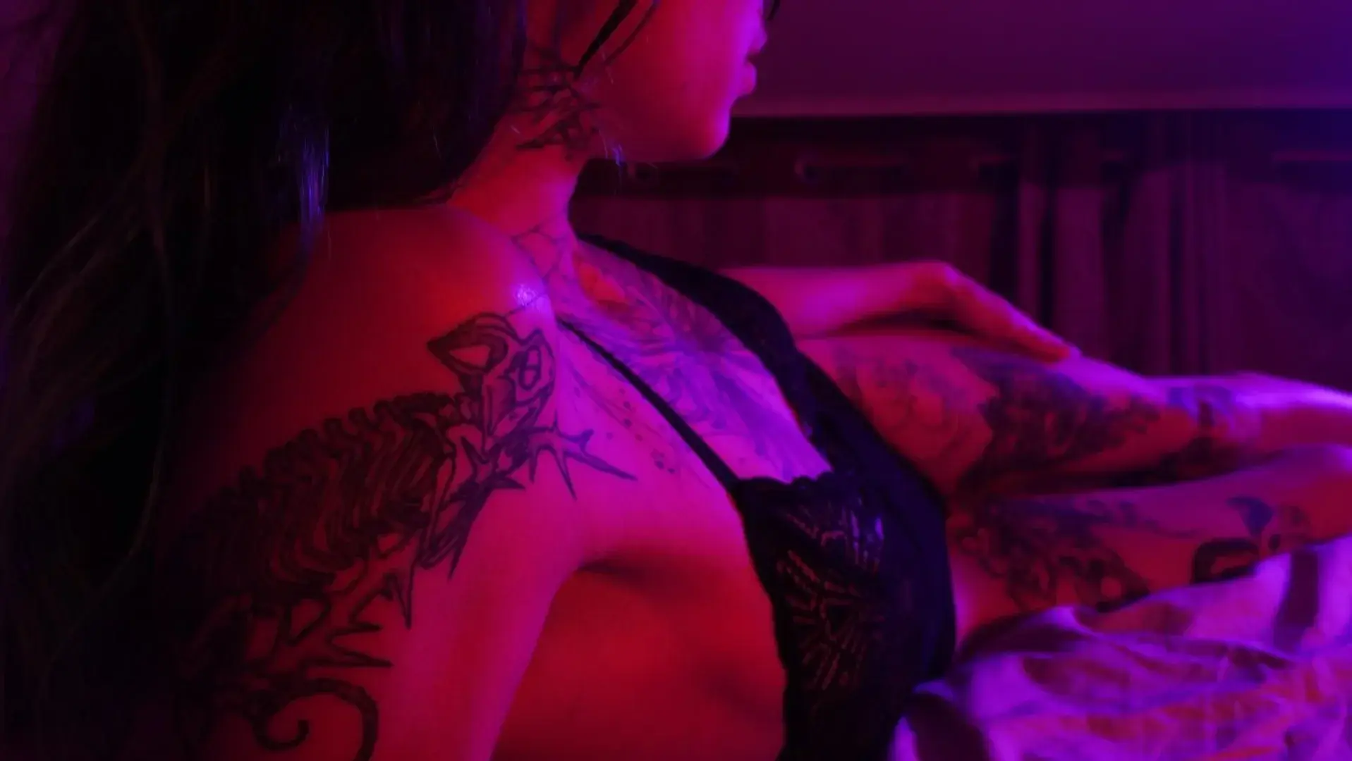 Photo de couverture de Plantecarnivore