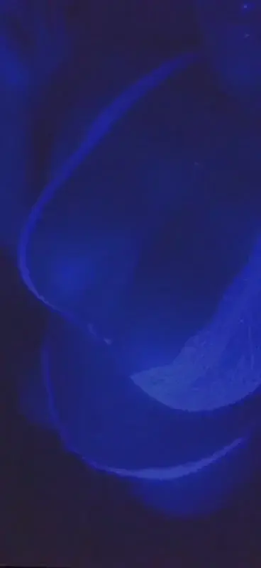 Leak & nude 3 — Ily_