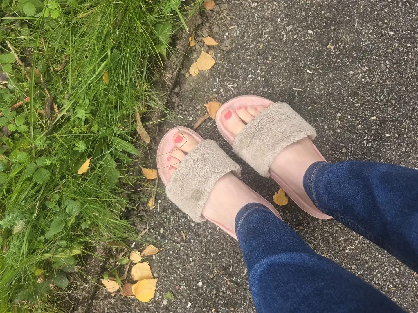 Photo de couverture de Pieds_anastasia