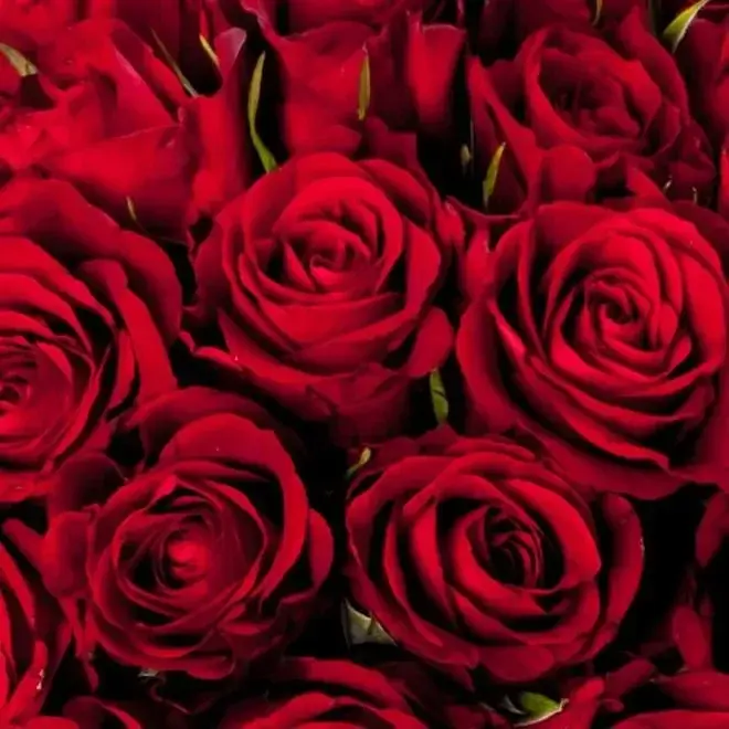 Photo de couverture de Charmantefemme