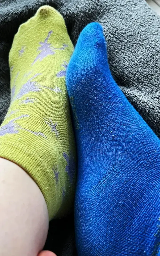 Photo de couverture de paolafeetlolita