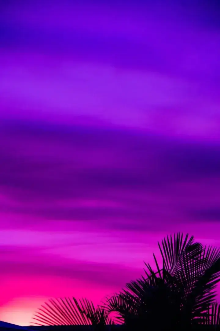 Photo de couverture de Pulp_jasmine