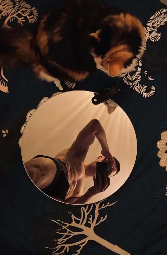 🐈