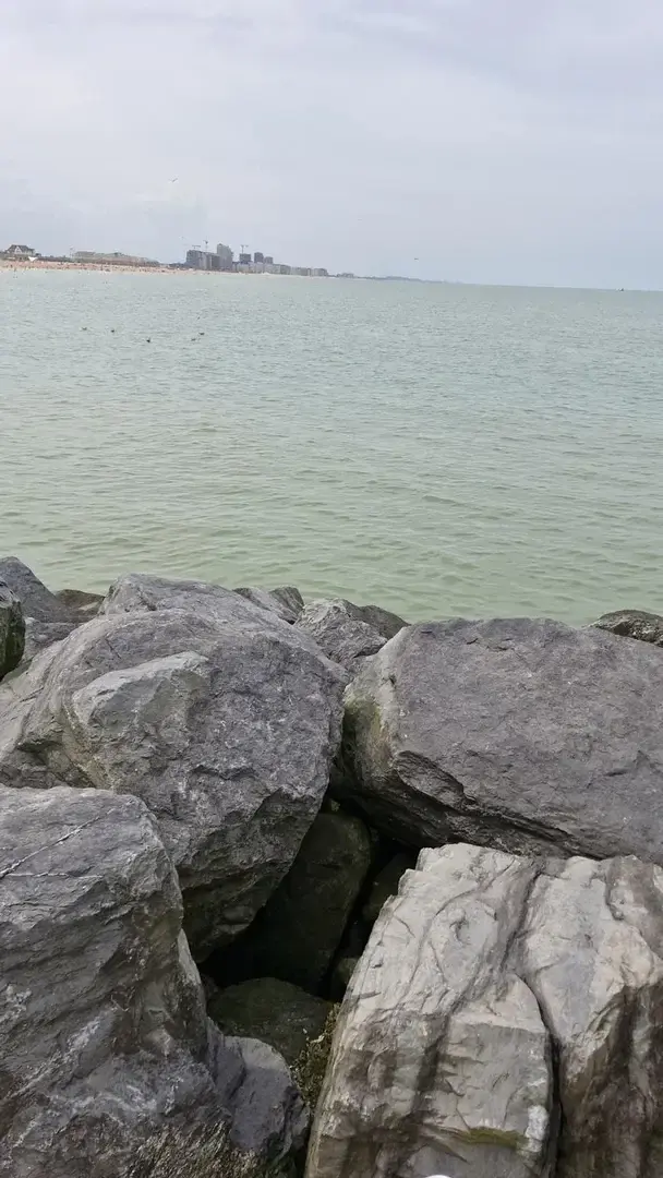 Photo de couverture de _latinaa_1