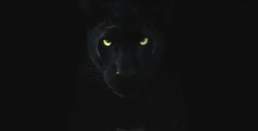 Photo de couverture de Liyah23
