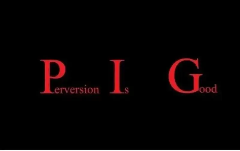 Photo de couverture de Skinpig