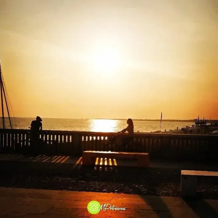 Photo de couverture de Homo_artem