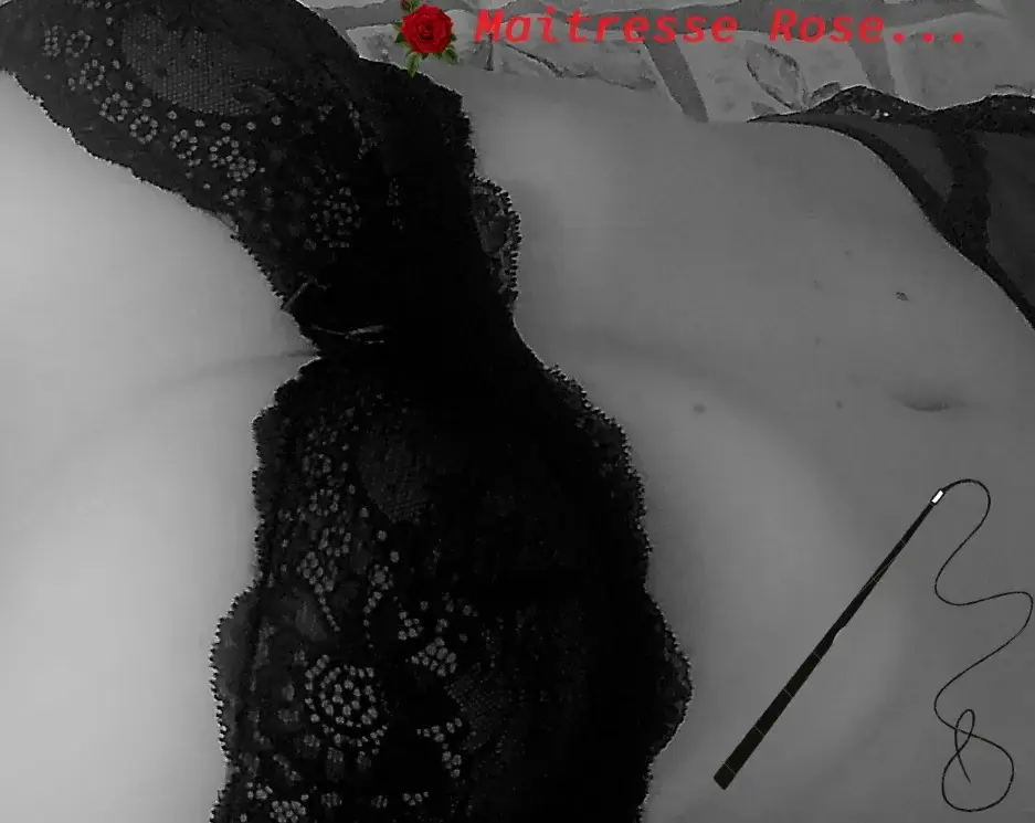 Photo de couverture de Maitresserose54