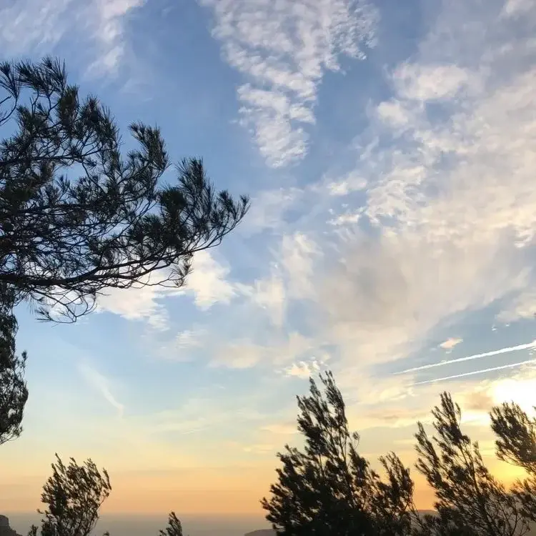 Photo de couverture de Margova