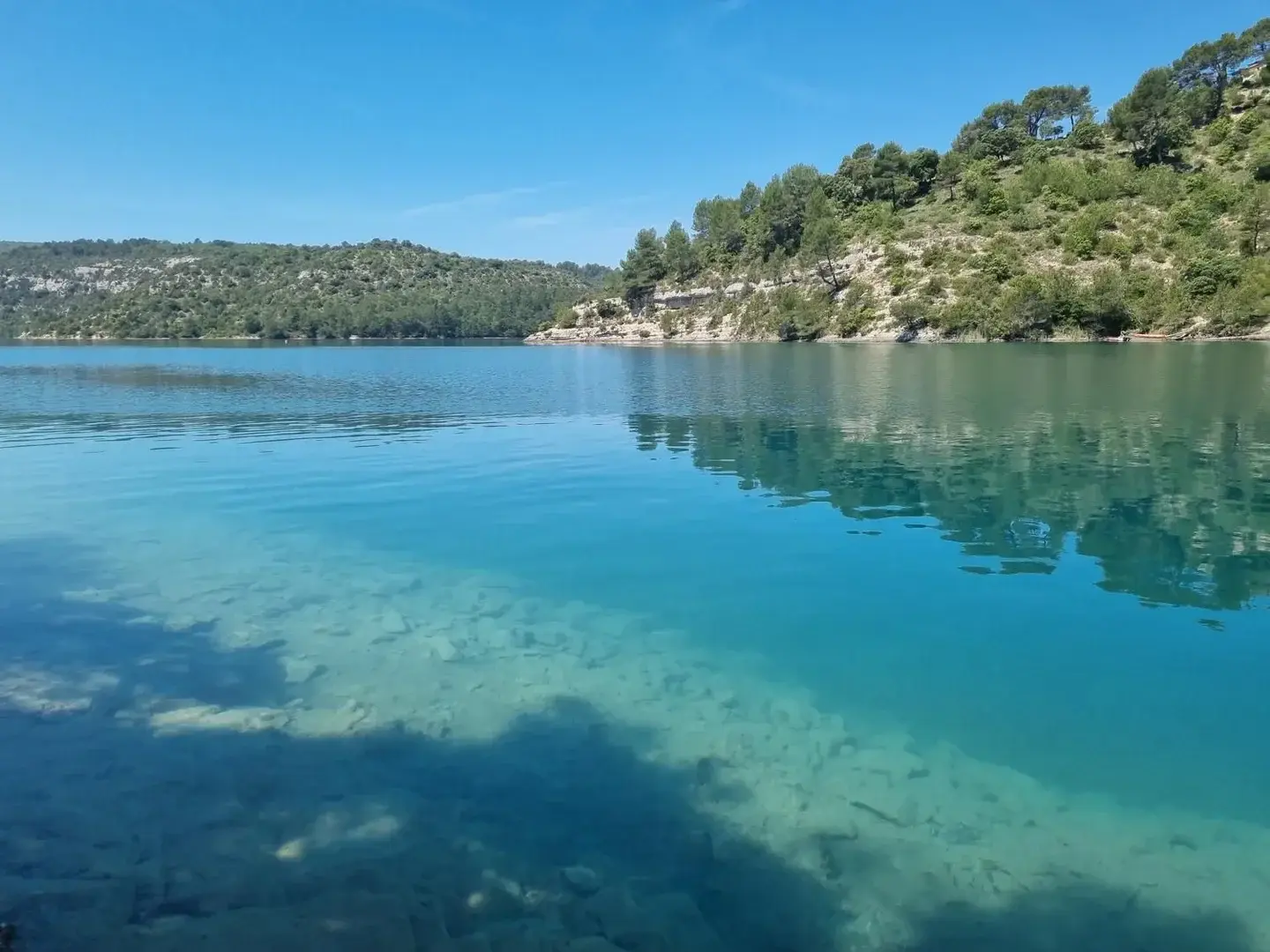 Photo de couverture de Lescoquinouss