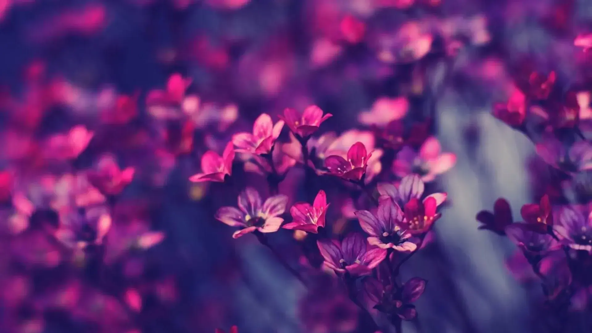 Photo de couverture de Jessybabe