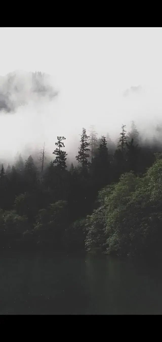 Photo de couverture de junes_dms