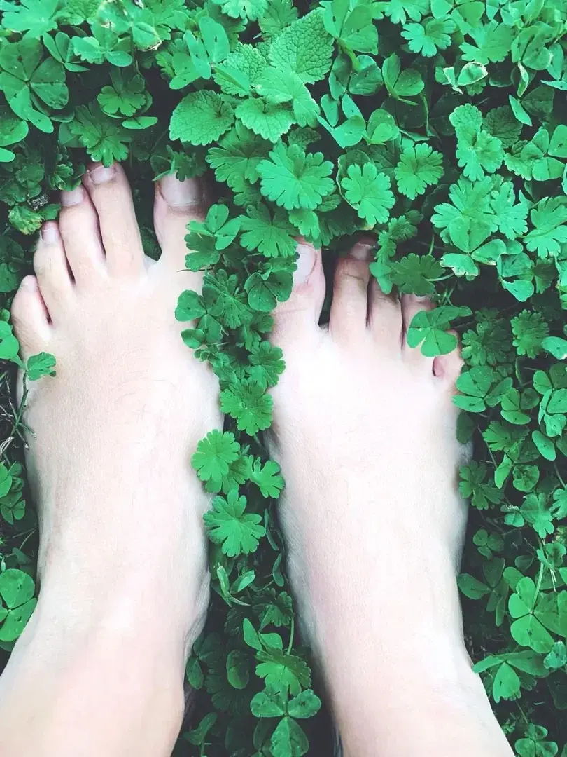 Photo de couverture de Feetgirls2015