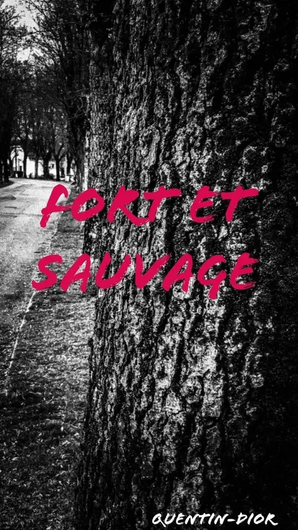 Photo de couverture de quentinsexxxx