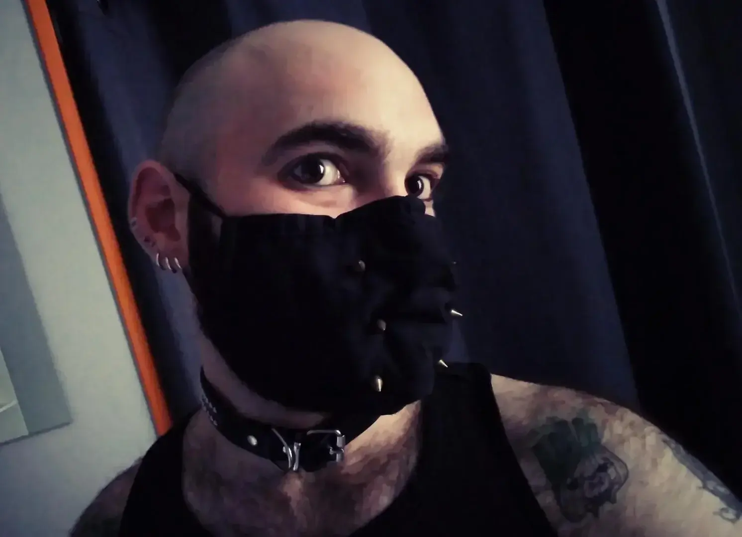 Avatar de Gentlebear_dijon