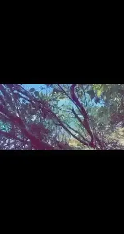 Leak & nude 1 — Dwaynenankhazone1314