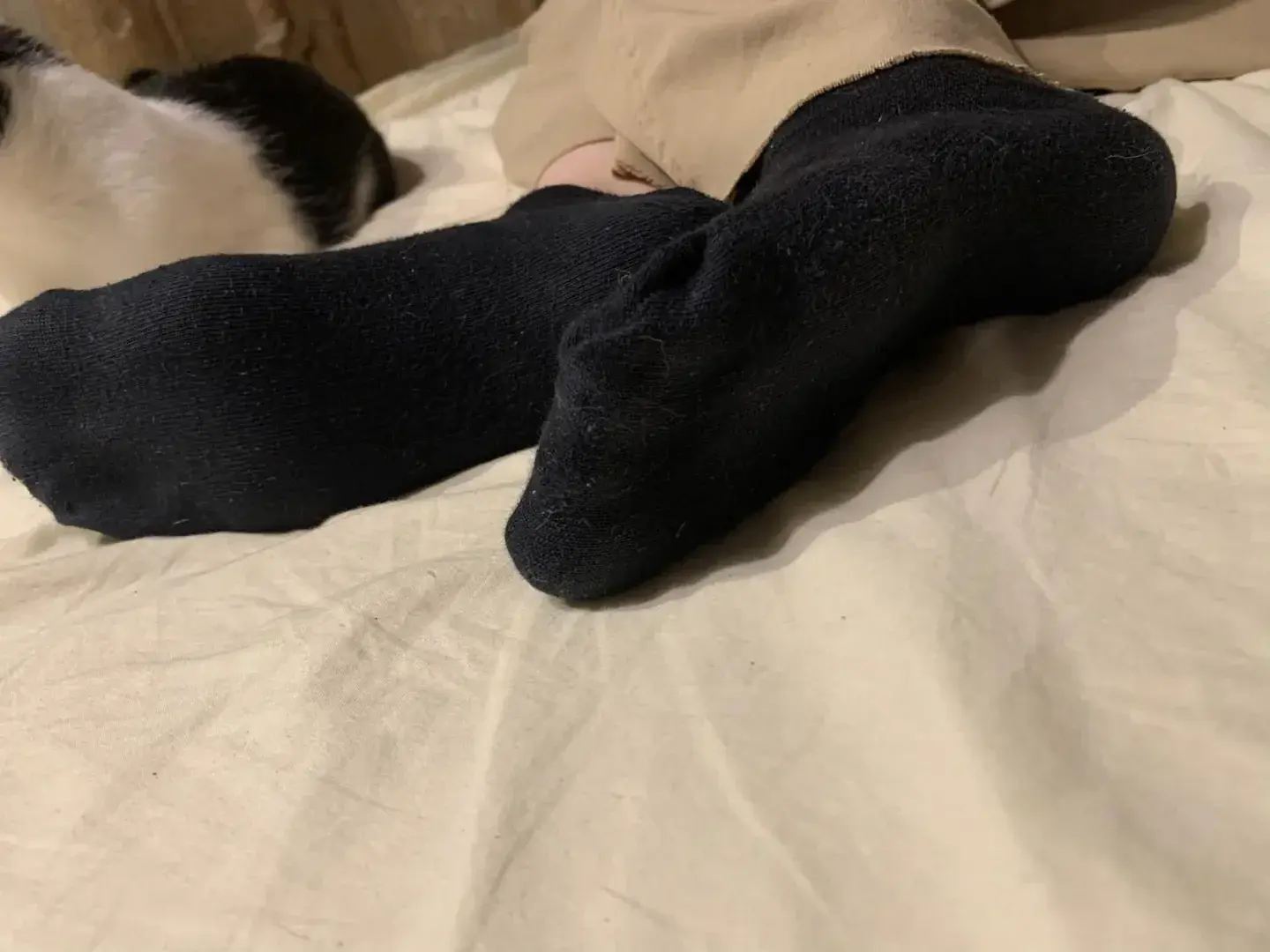 Photo de couverture de Feetgrn