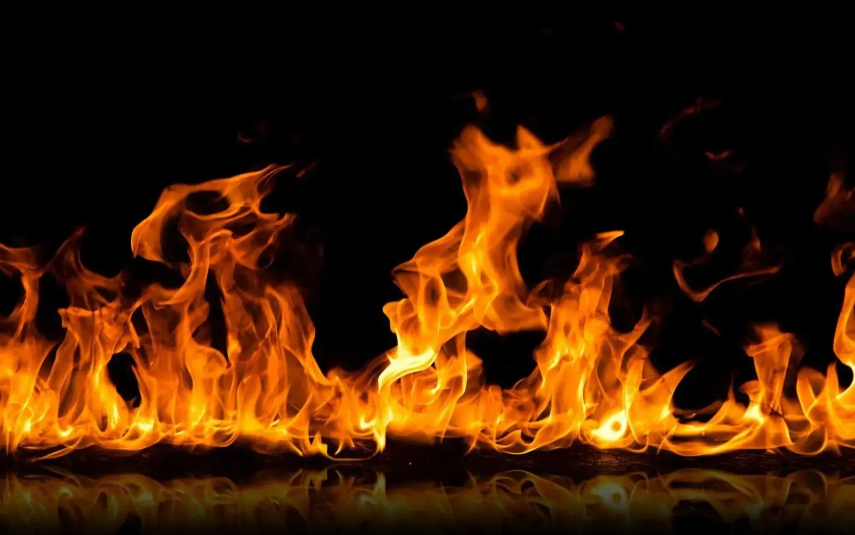 Photo de couverture de Cedanos