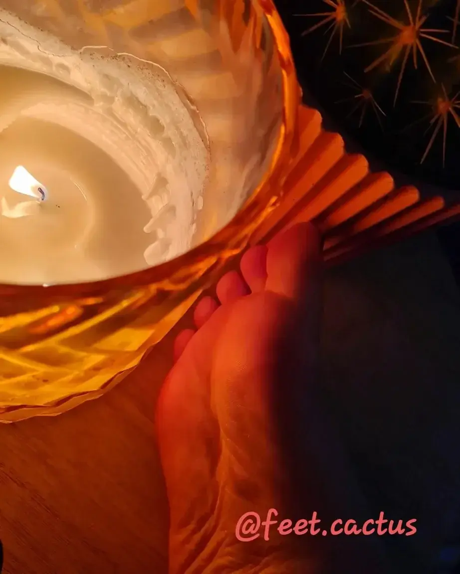 🔥 Bienvenue à toi profites de cette douce flamme, pour te rechauffer. 🔥🌼Profites de ce Cactus pour te torturé. 🌼À genoux et Abonne-toi 😋