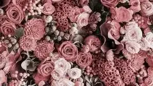Photo de couverture de Mini-mimine
