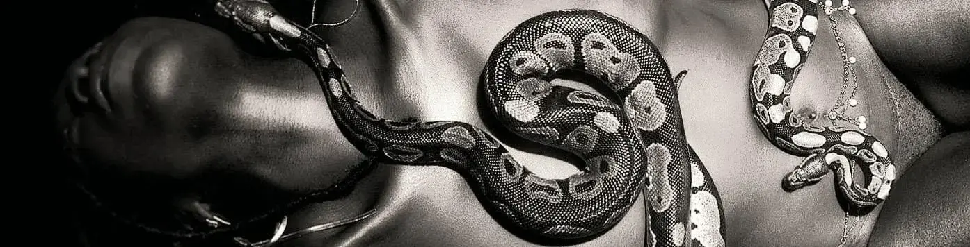 Photo de couverture de sexy-sensuality