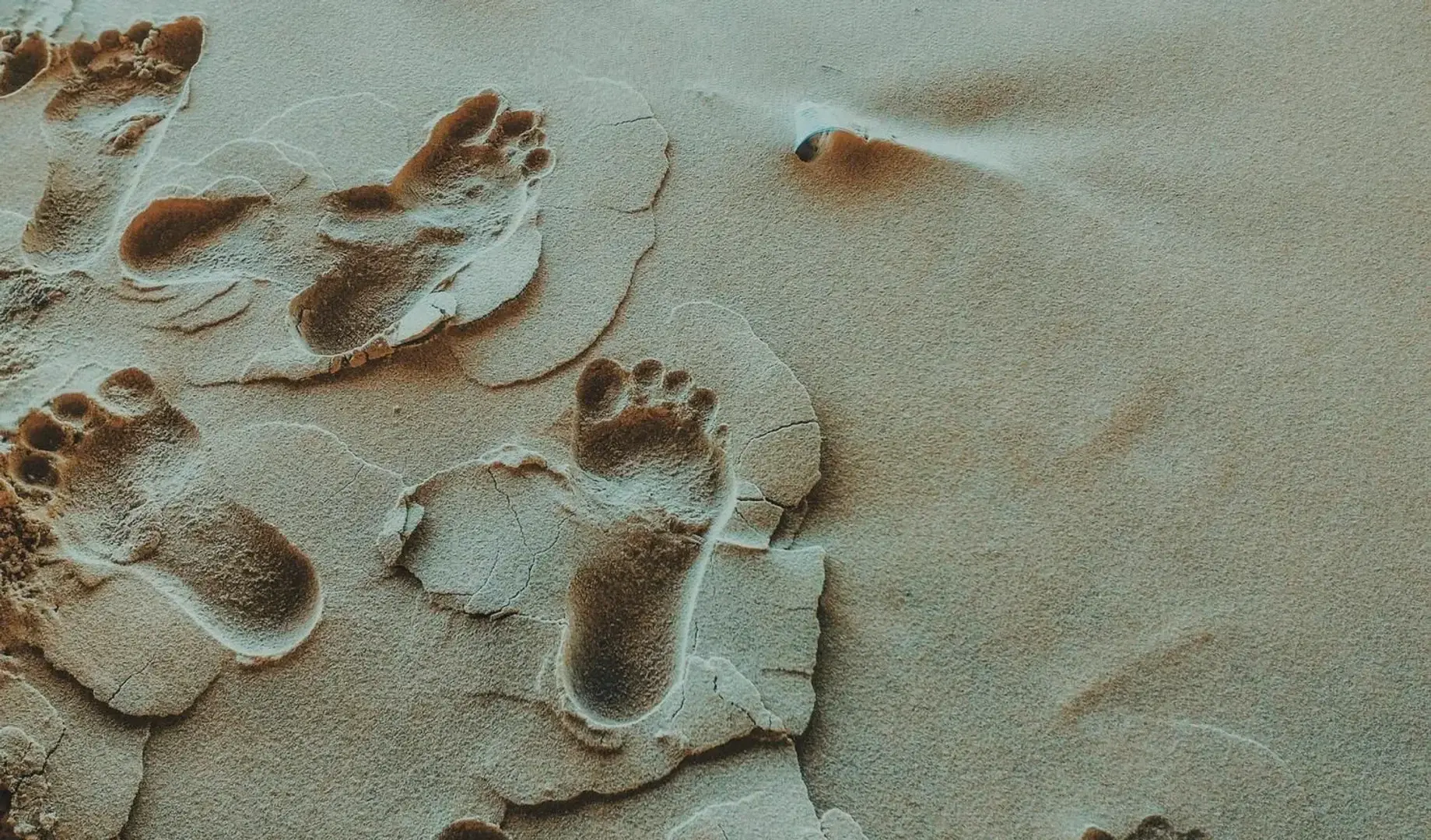 Photo de couverture de Frenchfeetforyou