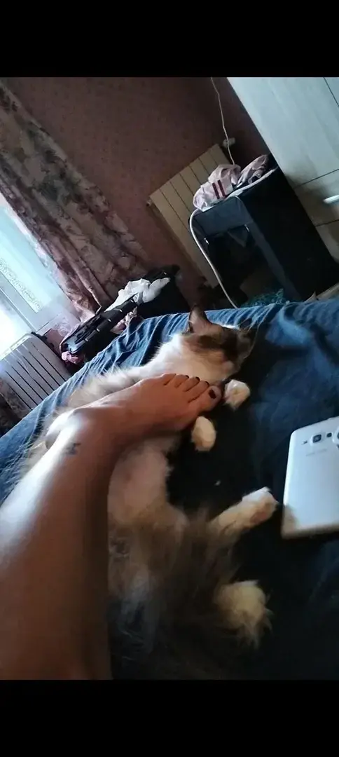Extraite d'une vidéo 😋