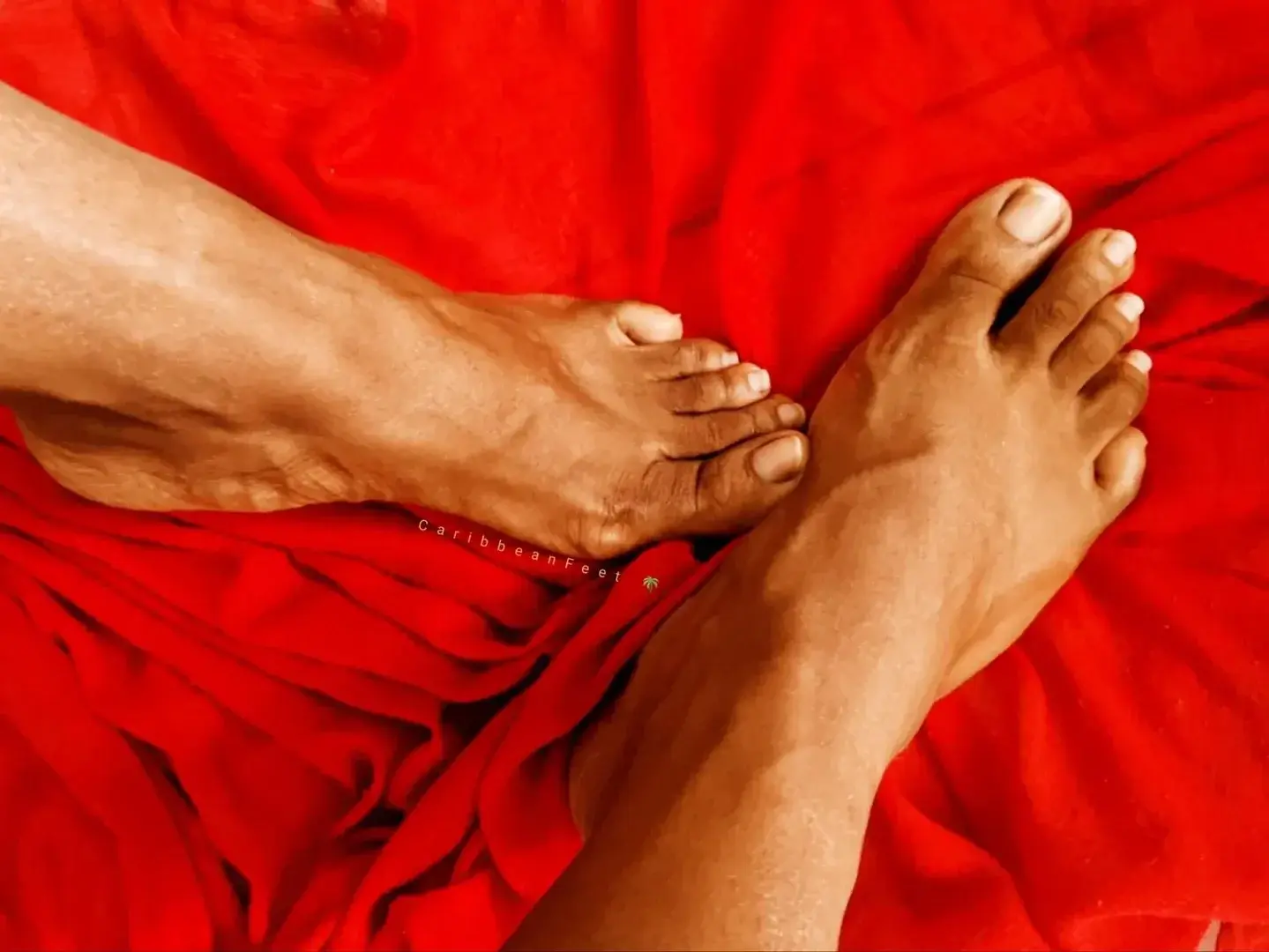 Avatar de Caribbeanfeet97