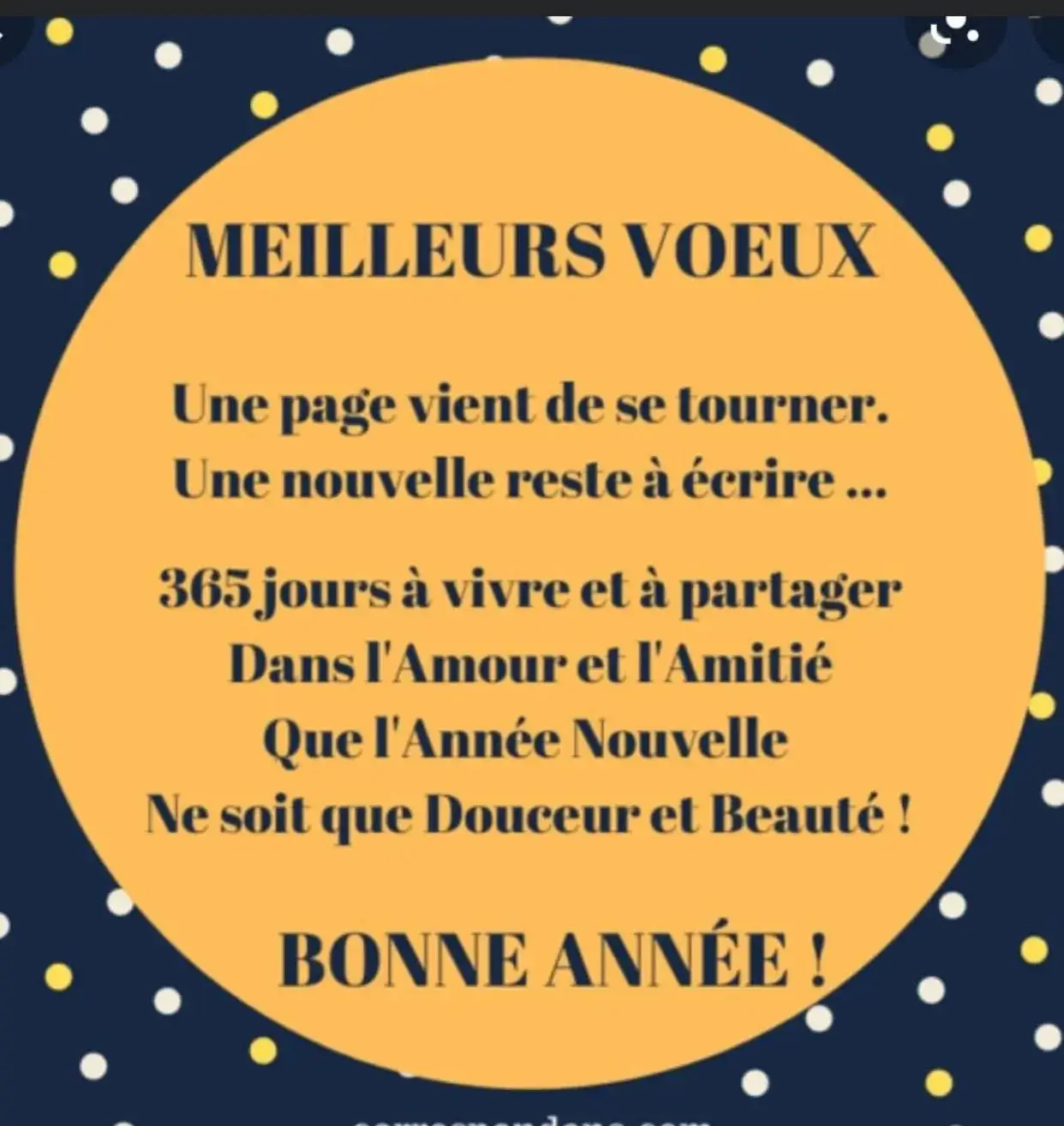 Belle et heureuse année mes chéris