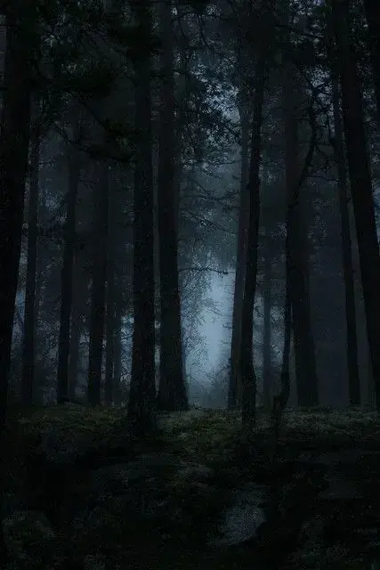 Photo de couverture de Harpywitcher
