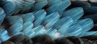 Photo de couverture de R4inb0w