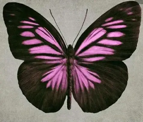 Photo de couverture de Louloute50