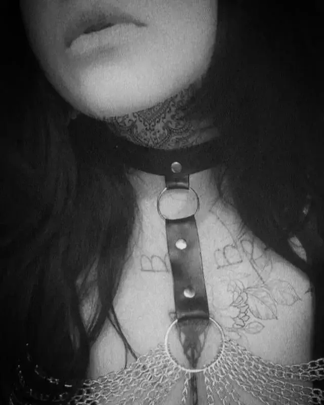 Avatar de Ladyfox