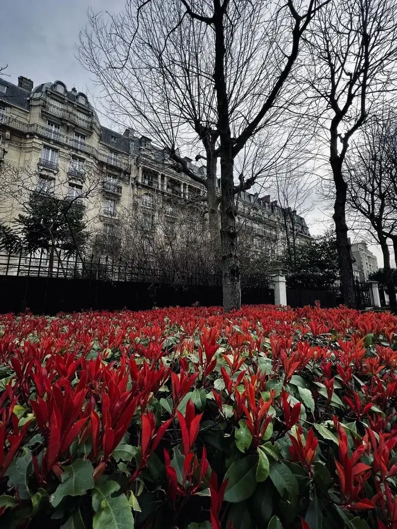 Photo de couverture de Klv