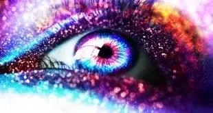 Photo de couverture de Talie