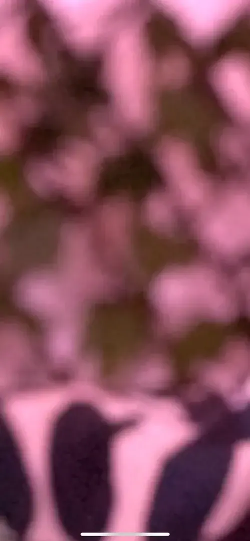Photo de couverture de Thepassengerx