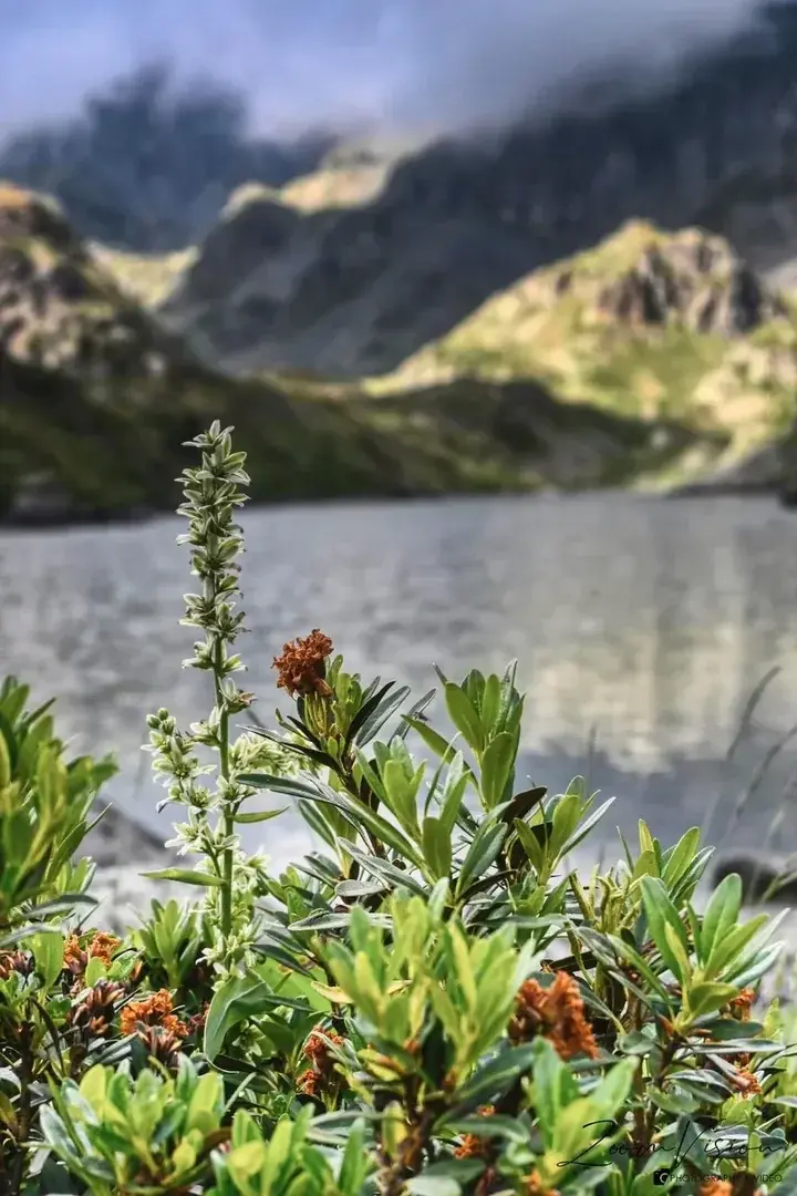 Zoomvision_trekking — média 5 | French Modèles