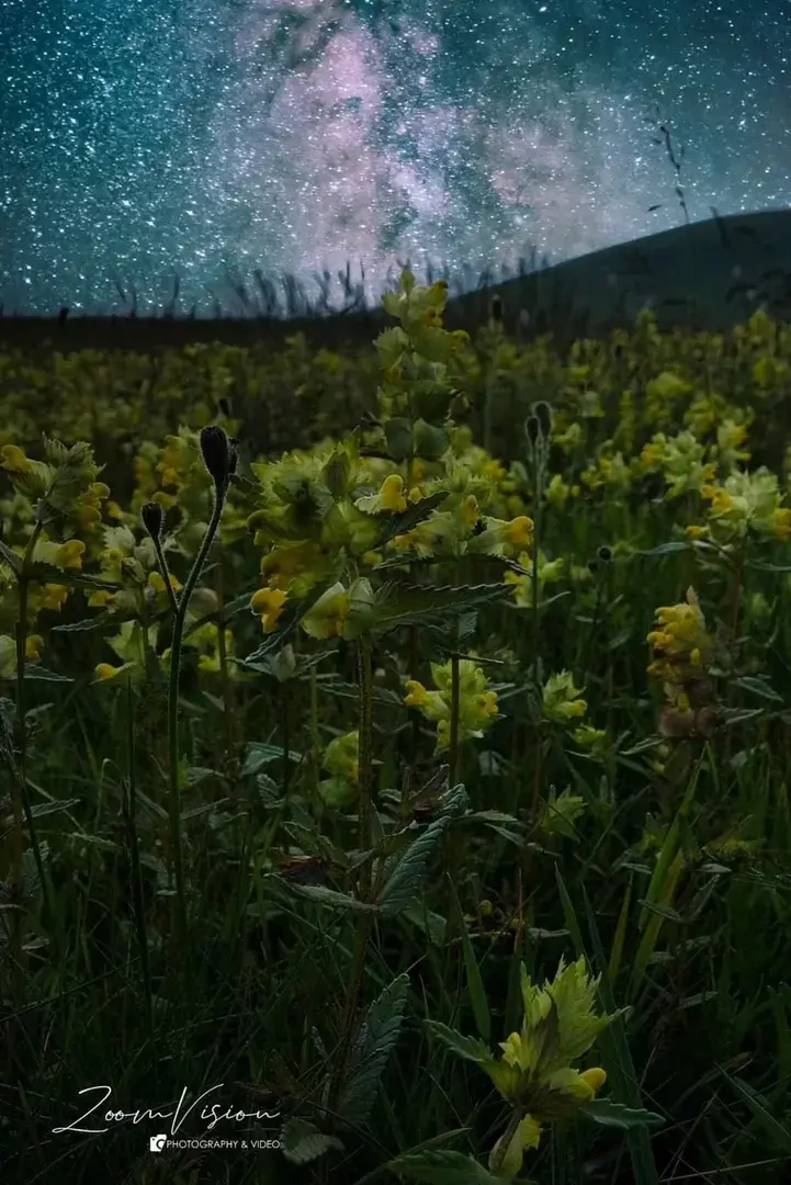 Nature nuit étoilée