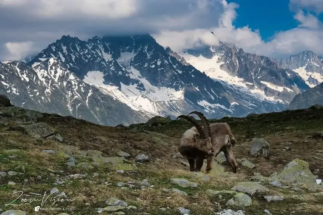 Leak & nude 2 — Zoomvision_trekking