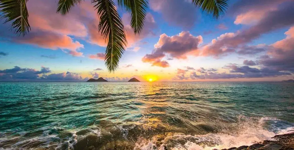 Photo de couverture de Nenessparadise