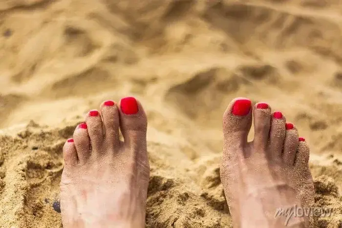 Photo de couverture de Hoppyfeet
