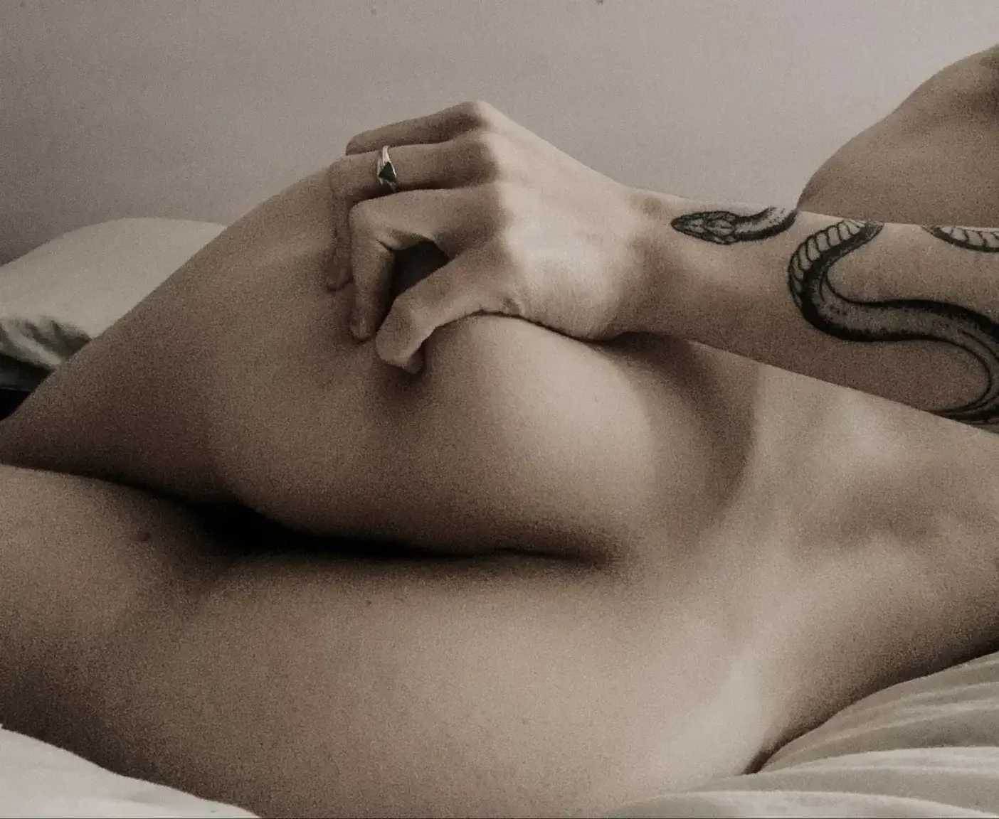 Photo de couverture de Lafesserie