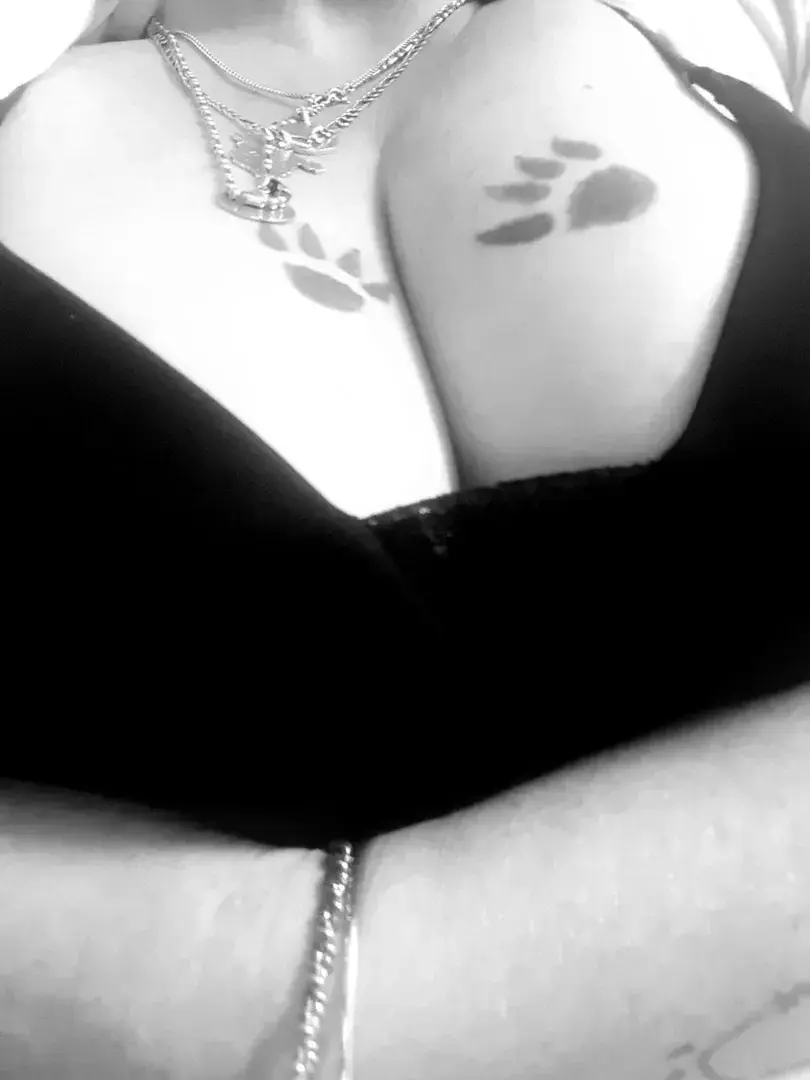 Photo de couverture de Roussette