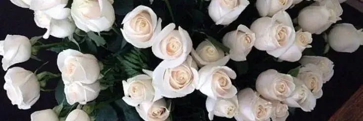 Photo de couverture de Sweetie75_