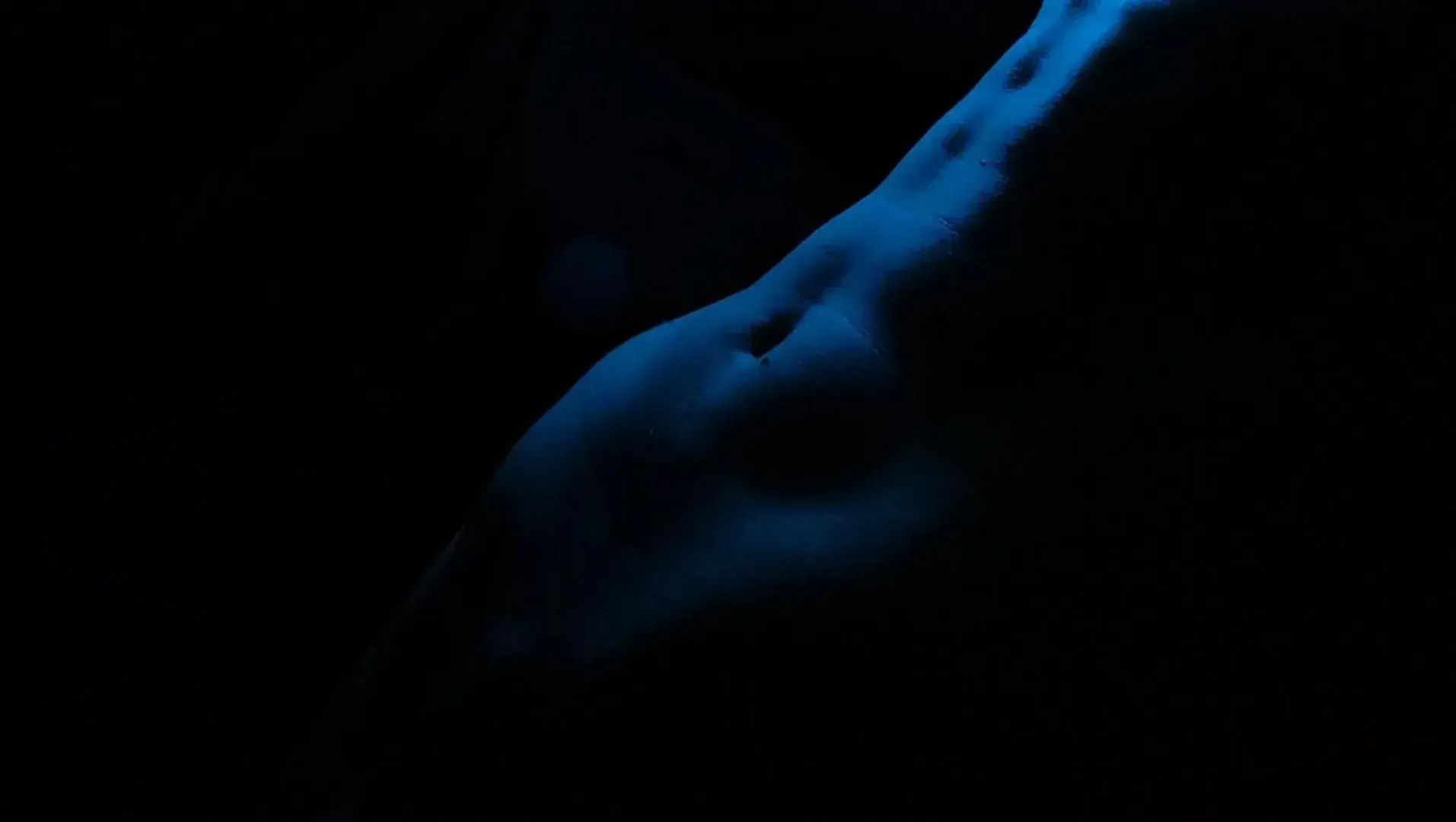 Photo de couverture de Piloctron