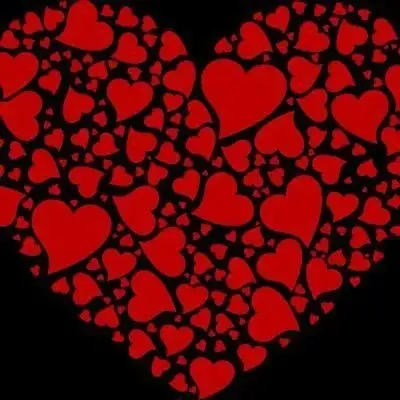 Photo de couverture de Lescoquinspaca